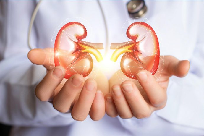 what are the 7 Functions of the kidney?